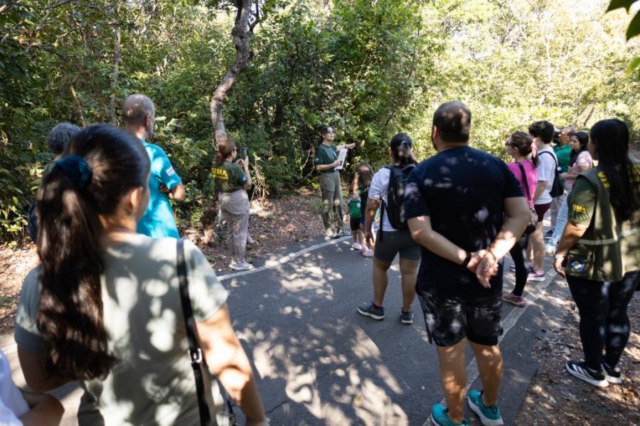 Atividades guiadas no Parque Mãe Bonifácia resgatam importância de árvores nativas