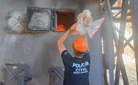 Polícia Civil incinera três toneladas de drogas apreendidas em ações das Forças de Segurança
