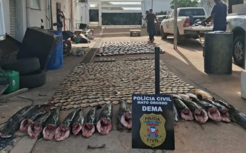 Polícia Civil apreende mais de 900 quilos de pescado irregular e desarticula esquema de pesca predatória em Cuiabá