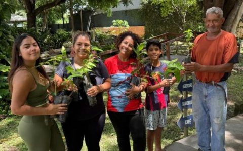 Museu promove dia meio ambiente com doação de mudas, oficinas e programação para toda a família