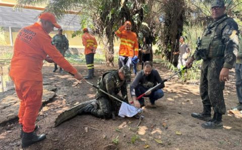 Sema e parceiros iniciam capacitação para manejo e contenção de fauna em caso de incêndios florestais