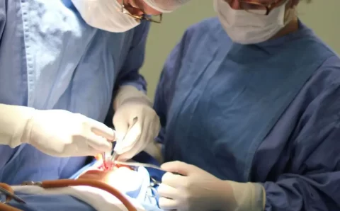 Fissura labiopalatina demanda tratamento precoce e multidisciplinar