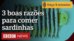 3 motivos por que as sardinhas são um alimento barato e ideal para sua saúde