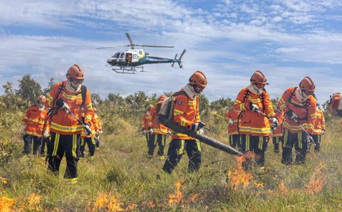 Período proibitivo de uso do fogo começa nesta quarta (1º); bombeiros alertam para estiagem severa